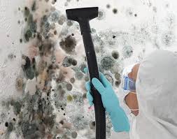 Environmental Consulting for Mold Prevention in Beachwood, NJ